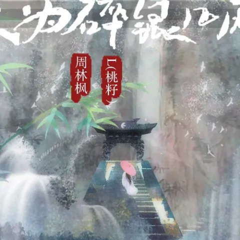 只为碎银几两歌词 - 周林枫/L(桃籽)