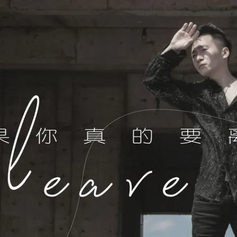 如果你真的要离开 歌词 - DJ小鱼儿