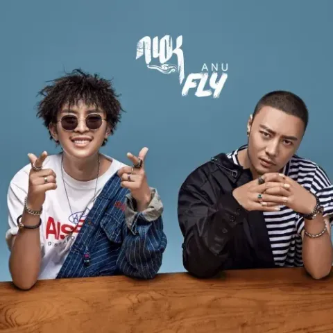 FLY歌词 - ANU 网络爆火歌曲歌词