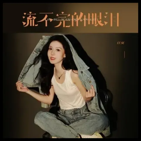流不完的眼泪 歌词 - 任夏/黄静美