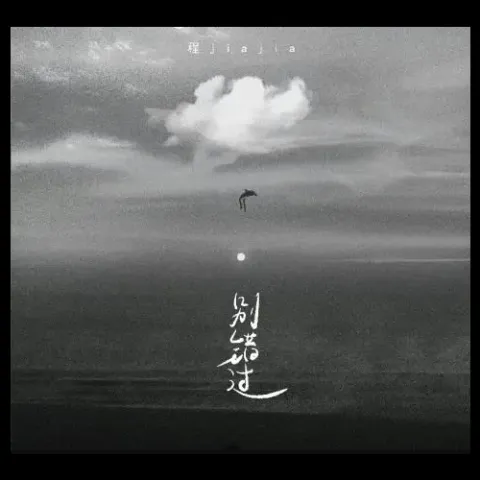 别错过 歌词 - 程佳佳