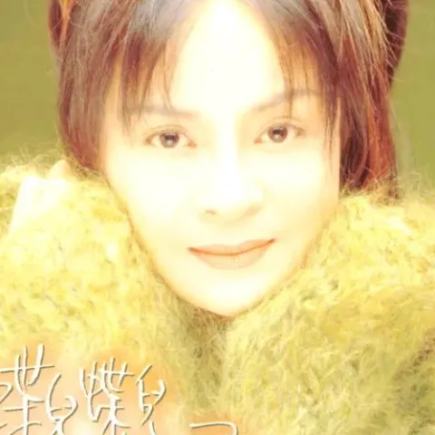 蝶儿蝶儿满天飞 歌手:高胜美 电视剧《黄飞鸿与十三姨》主题曲