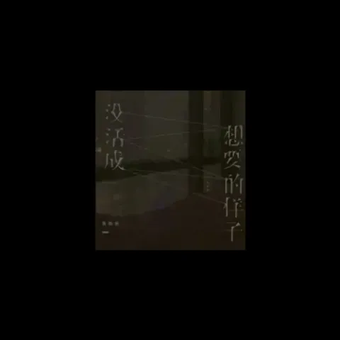 没活成想要的样子 歌词 - 黄静美