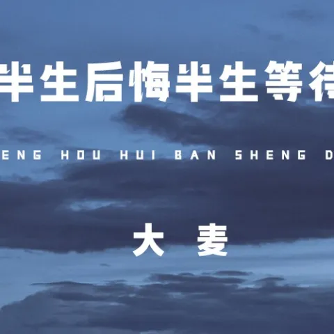 半生后悔半生等待