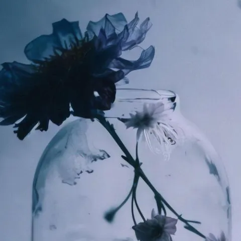 与花同败